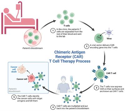 Challenges and innovations in CAR-T cell therapy: a comprehensive analysis